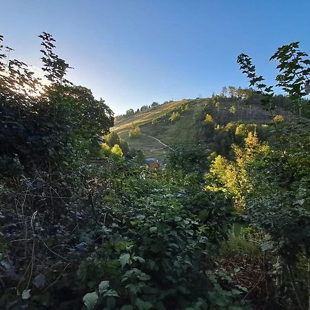 Platell Ferienhausverwaltung Sankt Andreasberg Exteriér fotografie