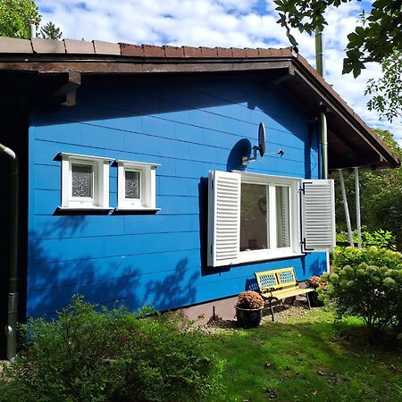 Platell Ferienhausverwaltung Sankt Andreasberg Exteriér fotografie