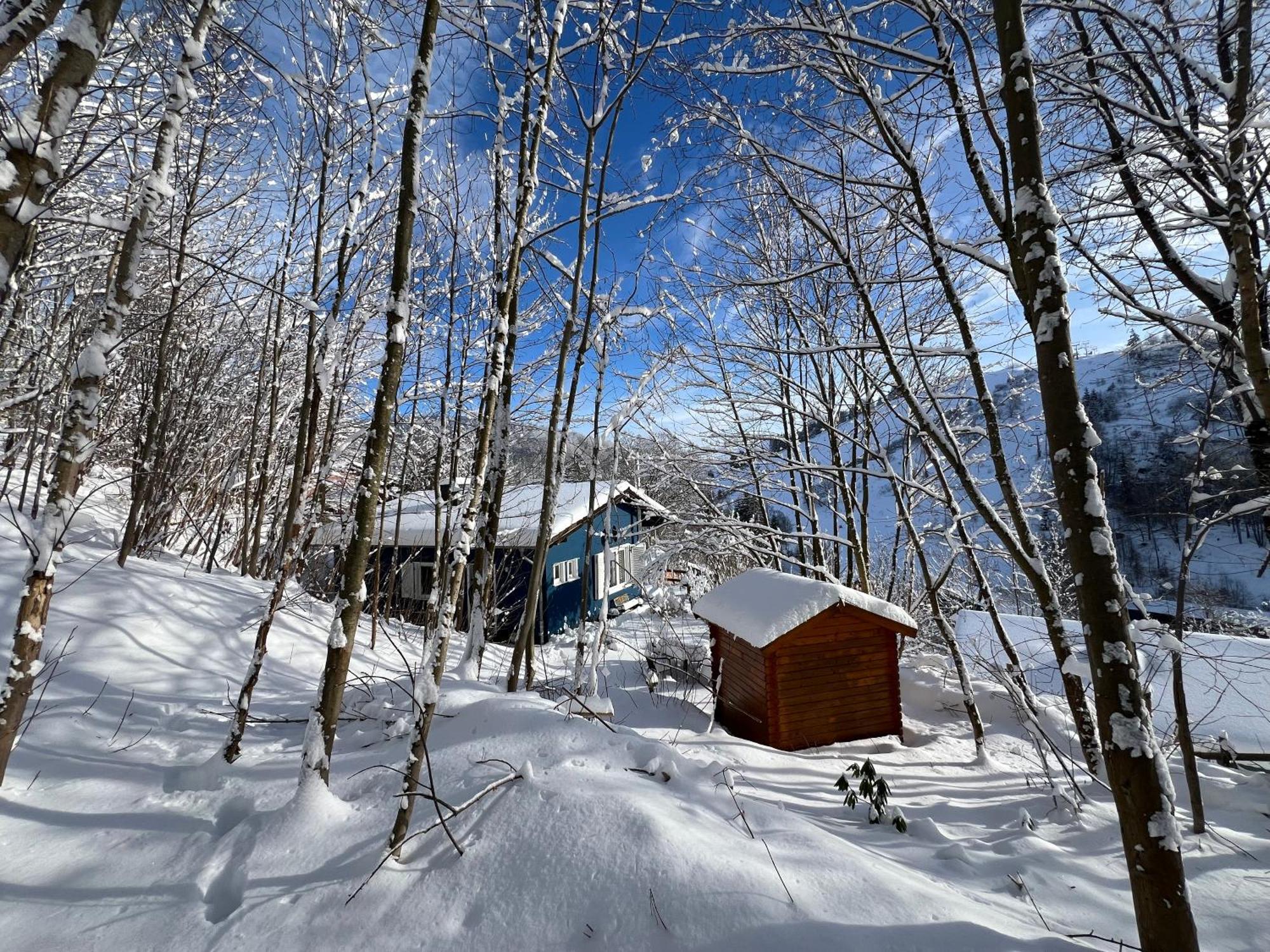 Platell Ferienhausverwaltung Sankt Andreasberg Exteriér fotografie