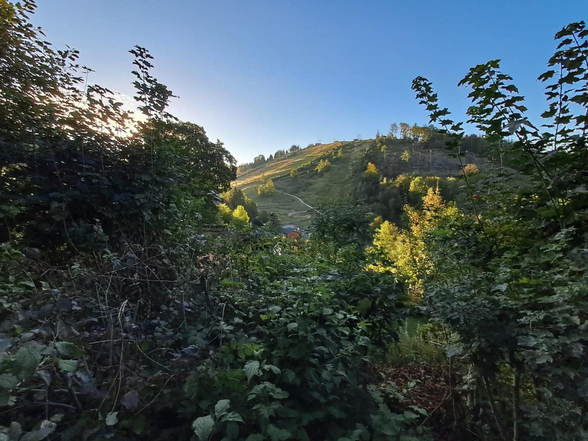 Platell Ferienhausverwaltung Sankt Andreasberg Exteriér fotografie